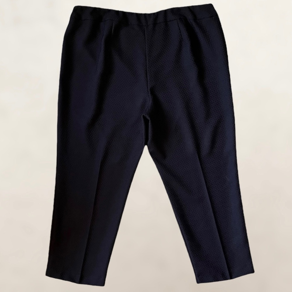 Zac & Rachel Plus Size Solid Black Patterned Pull Up Pants‌‌‌‌‌‌‌